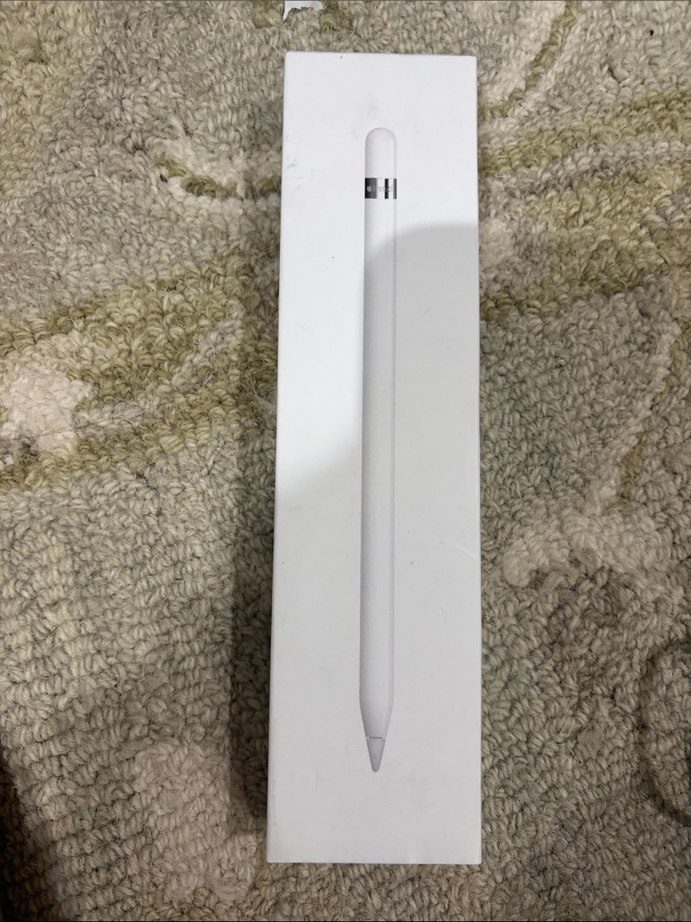 Apple first generation pen